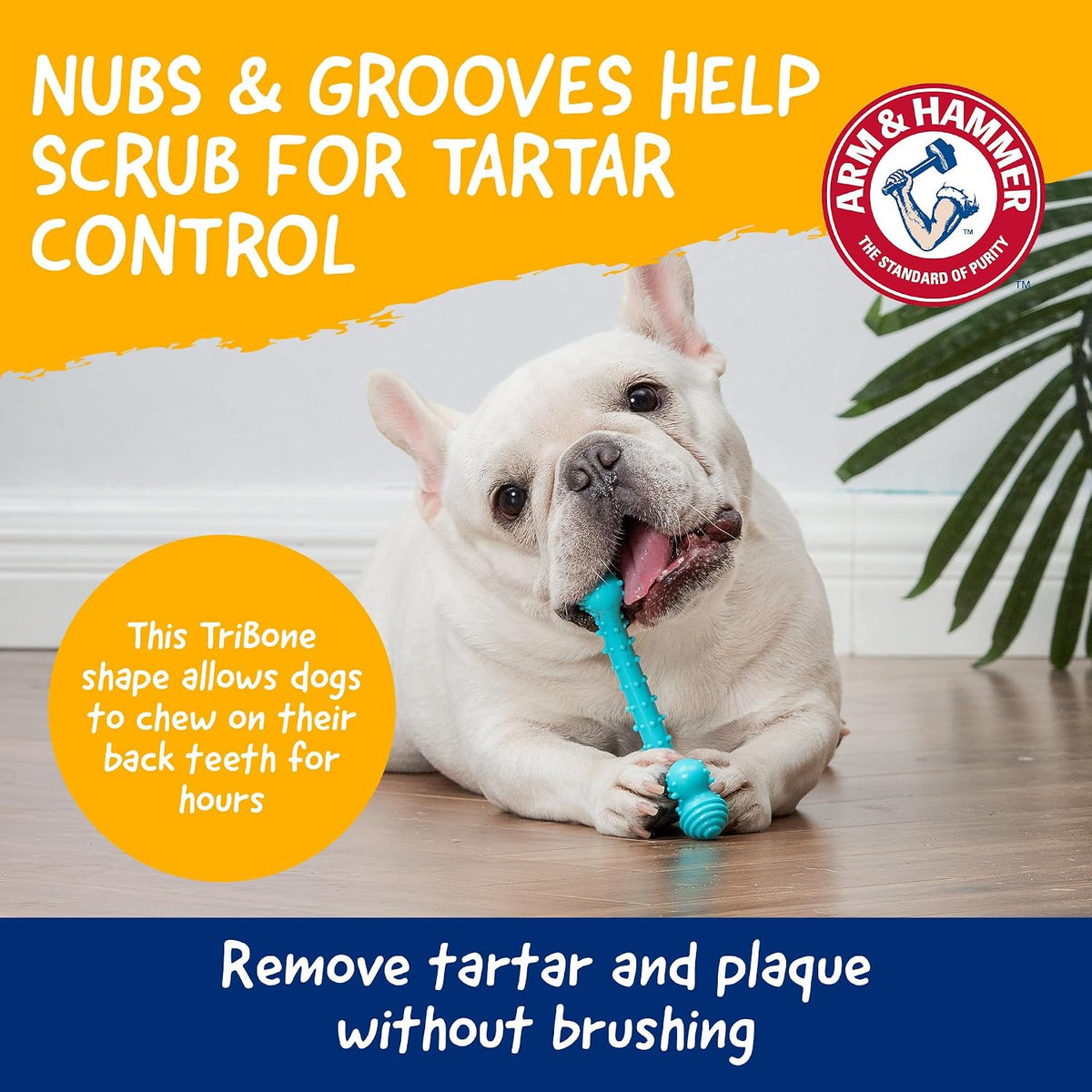 Arm & Hammer Nubbies T-Bone Dental Dog Chew Toy, Peanut Butter Flavor | Durable nylon and TPR nubs clean teeth and gums, built for aggressive chewers