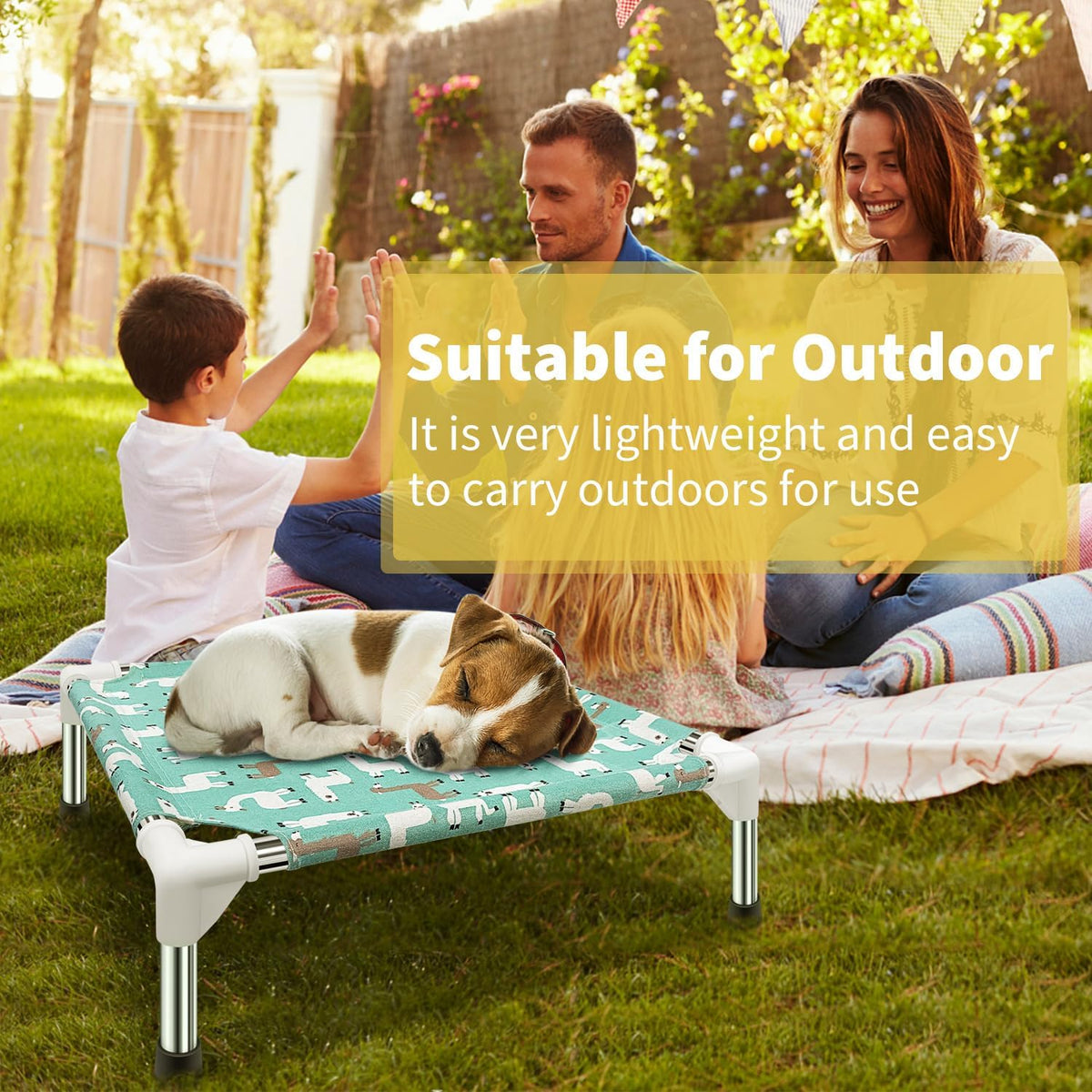 Elevated Dog Bed Pet cot for Small Dogs, Indoor and Outdoor Use