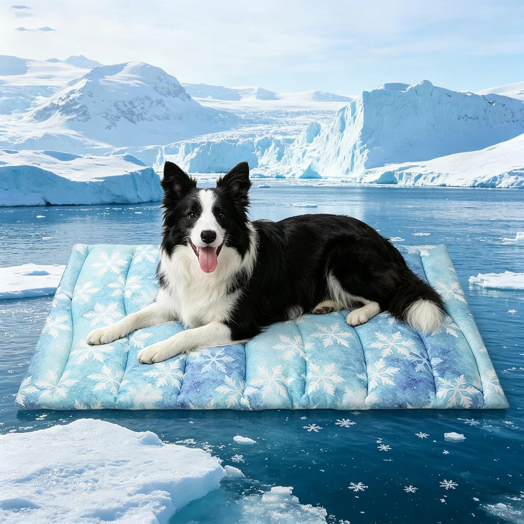 KOOLTAIL Dog Cooling Mat, Extra Thick Large Cooling Bed for Dogs and Cats Summer Indoor/Outdoor, 48"*28" Reversible Washable Pet Pad with Chill Cool Fiber, Non-Toxic Portable Blanket for Kennel, Blue