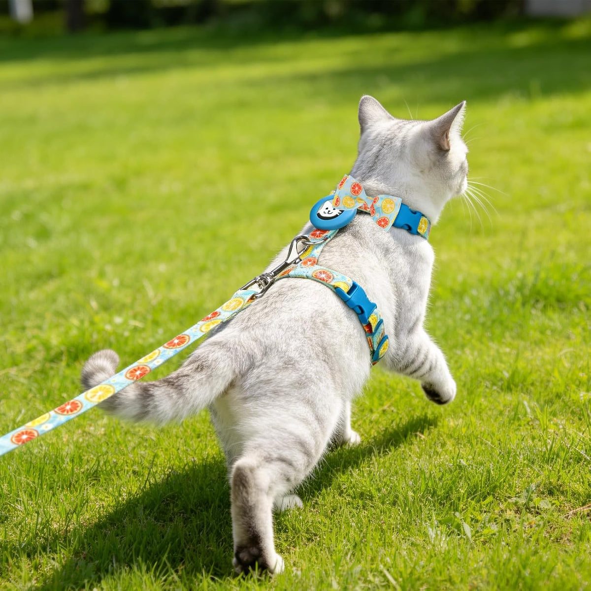 EXPAWLORER Cat Harness and Leash Set Escape Proof Vest with AirTag Holder
