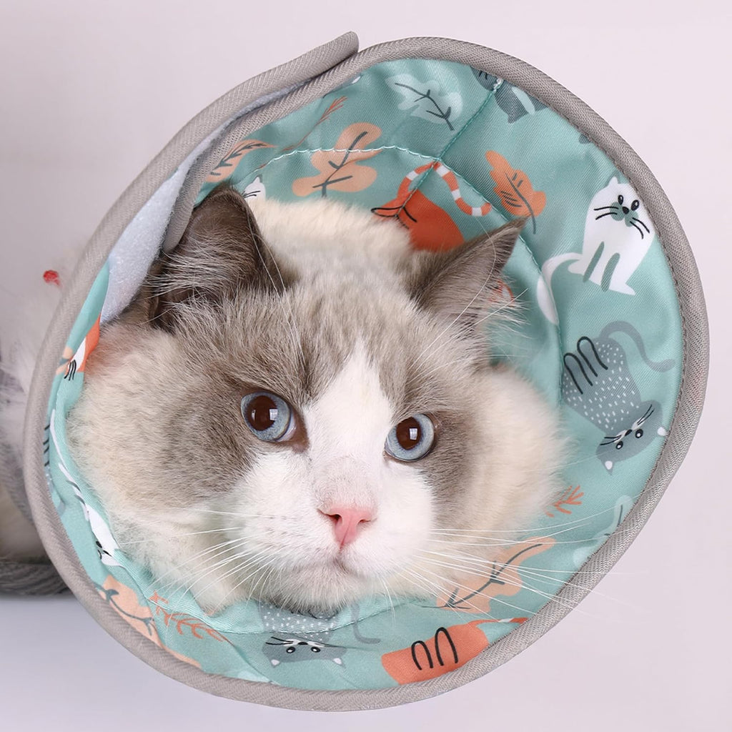 PawsPik Adjustable Soft Recovery Cone for Dogs & Cats, Medium, Light Blue