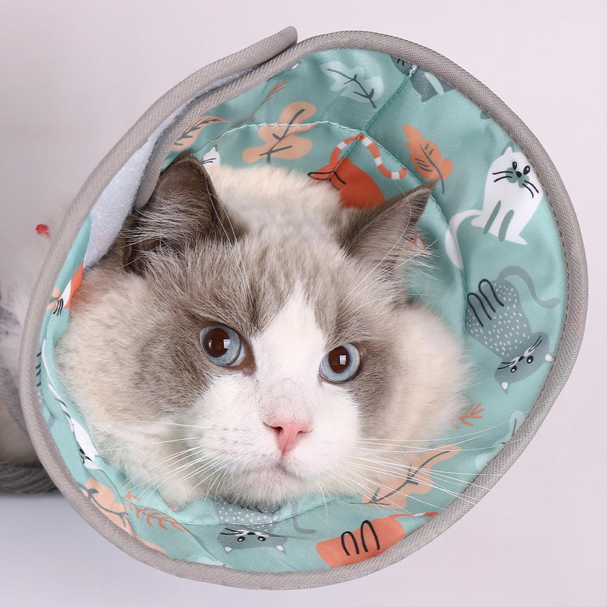 PawsPik Adjustable Soft Recovery Cone for Dogs & Cats, Medium, Light Blue