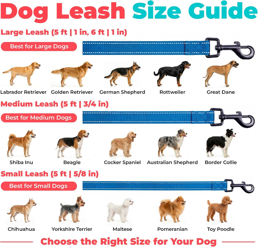 Best Pet Supplies Voyager Nylon Dog Leash - Royal Blue, Small