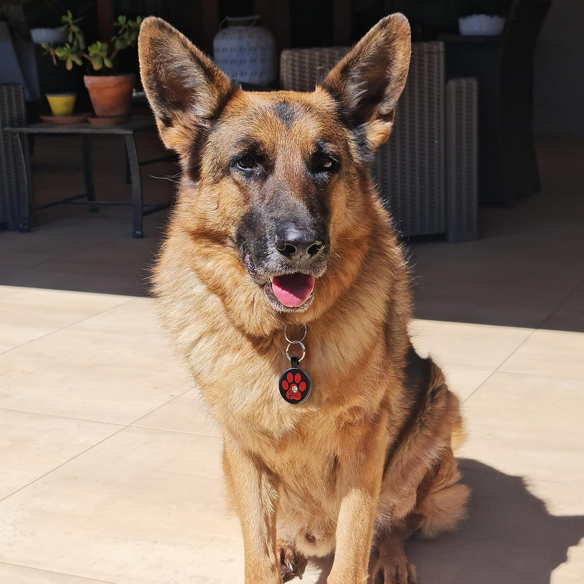 MYLUCKYTAG QR Code Pet ID Tags Dog Tags - Pet Online Profile - Scan QR Receive Instant Pet Location Alert Email, 1.2 inch, Red Paw