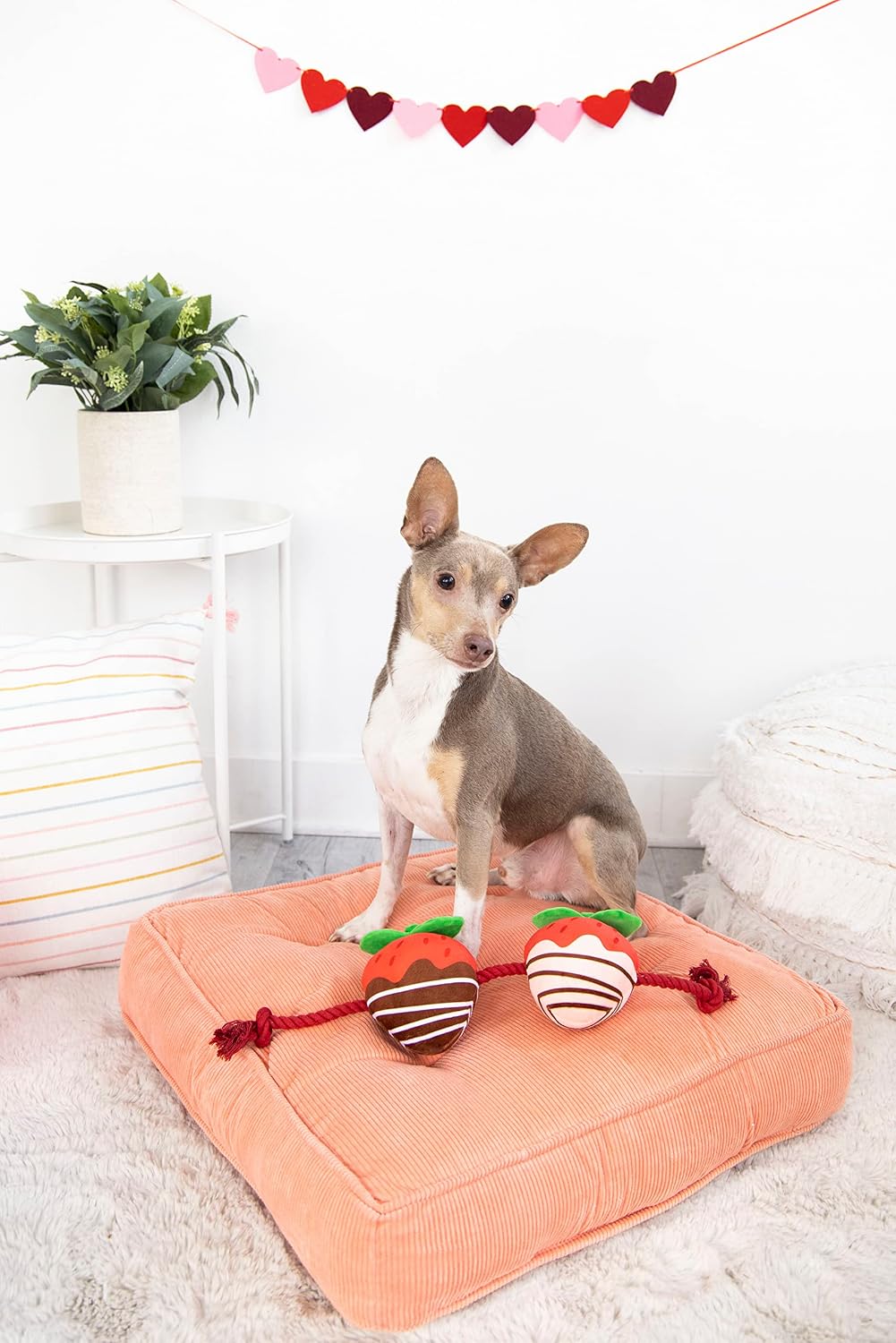 Pearhead “You’re Berry Cute” Valentine’s Day Dog Toy – Plush Strawberry Squeaker & Rope Tug Toy, Interactive Crinkle Chew Toy for Dogs, Festive Valentine Pet Gift