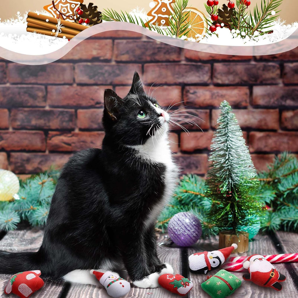 Soulchen 12 Pcs Christmas Catnip Toys with Crinkle Sound