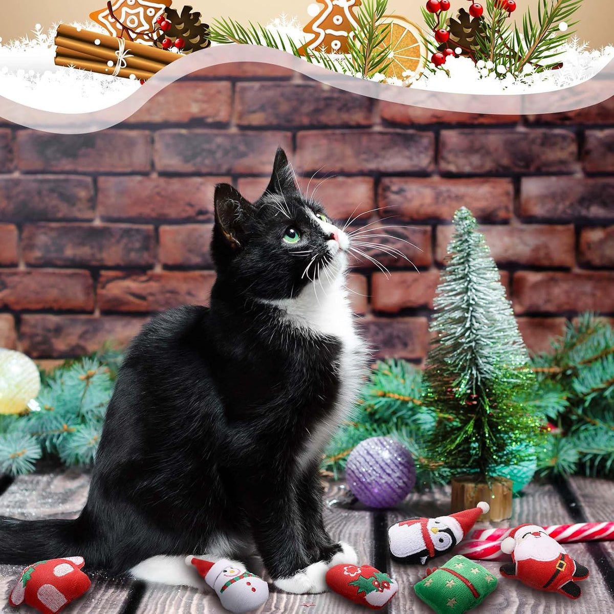 Soulchen 12 Pcs Christmas Catnip Toys with Crinkle Sound