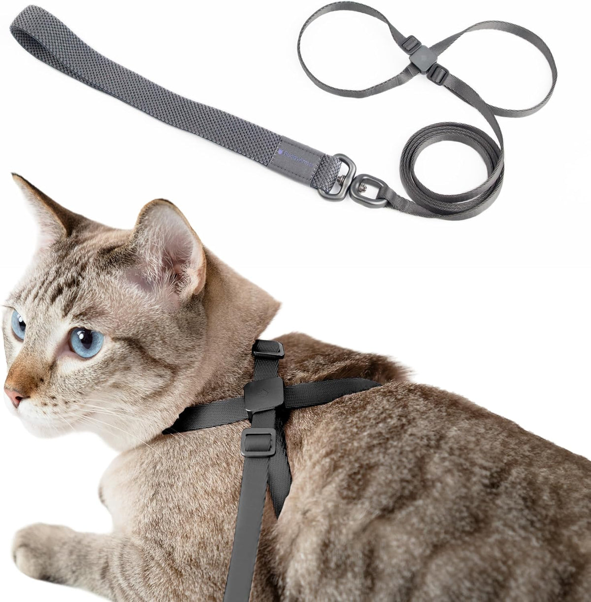 Cat Harness and Leash 2-in-1, Escape Proof Anti-Choking Harness Adjustable Lightweight Leash One-Piece Non-Detachable for Kitten Cats Outoor Walking Training, US IDA Bronze Award (Gray)