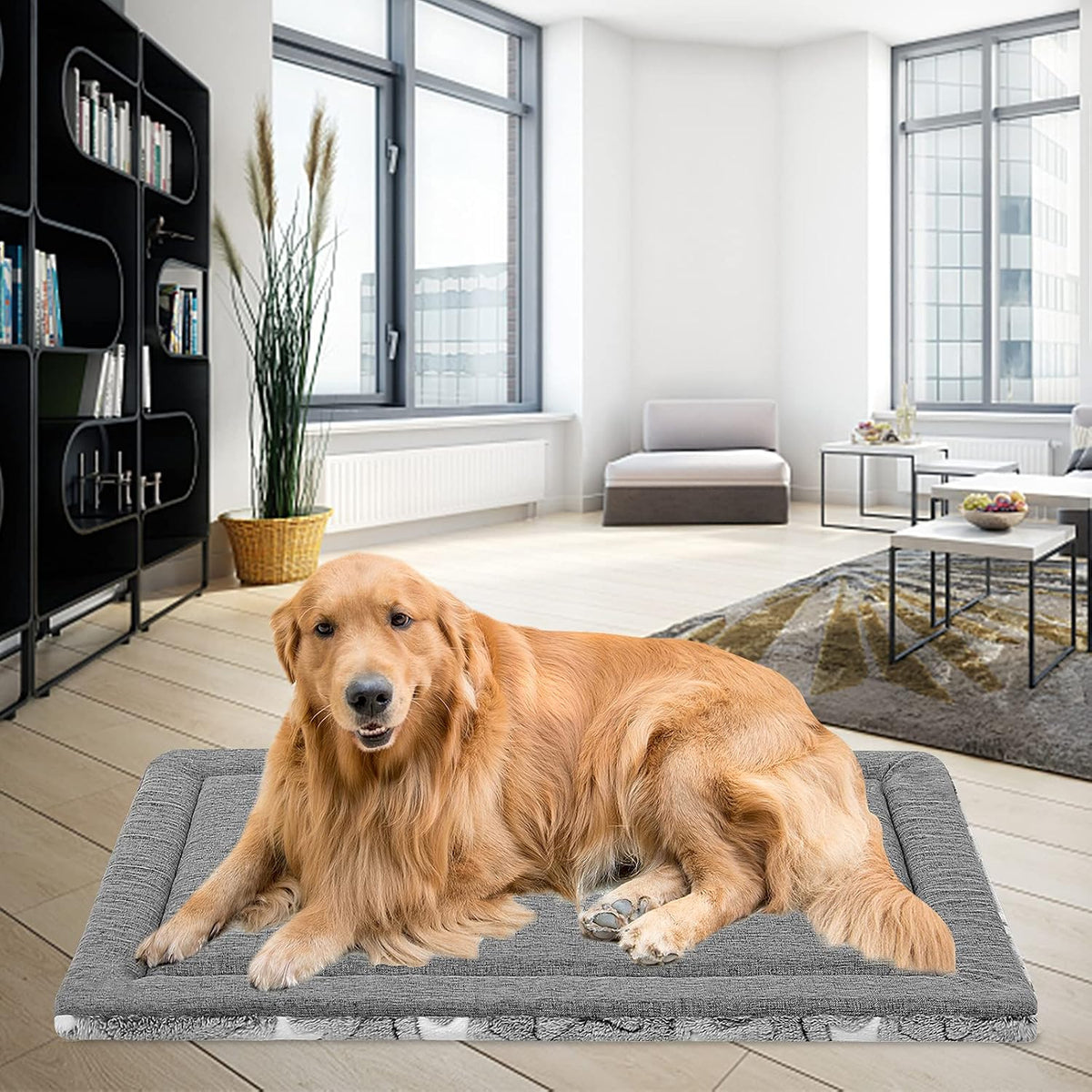 EMPSIGN Fancy Dog Bed Mat, Pet Bed Pad Reversible (Cool & Warm), Machine Washable Crate Pad, Pet Sleeping Mat for Small to XXX-Large Dogs, Grey, Star Pattern,XXL (48inch X30inch X1.1'')
