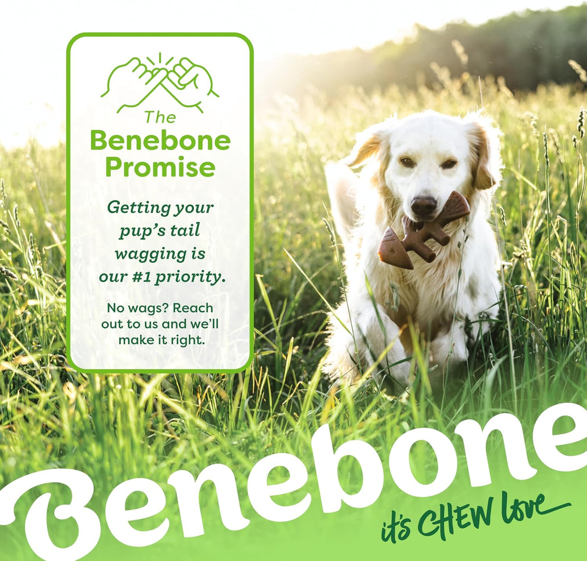 Benebone Fishbone Dog Chew Toy for Aggressive Chewers, Long Lasting, Made in USA, Large
