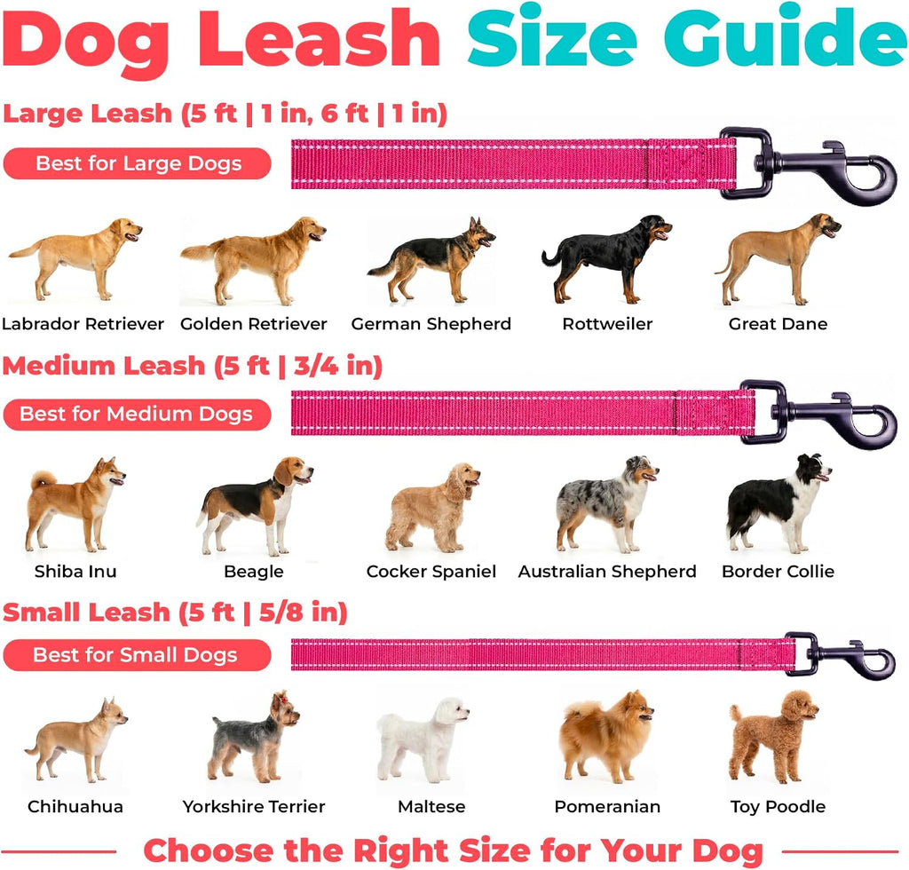 Best Pet Supplies Voyager Nylon Dog Leash - Fuchsia, Medium