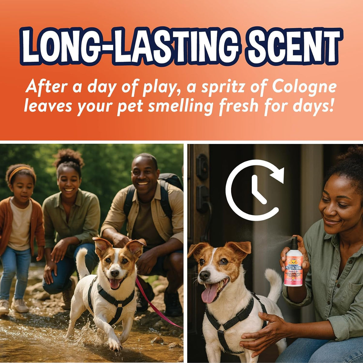 Bodhi Dog Premium Dog Cologne - Deodorizing Dog Perfume & Conditioner for Dogs & Cats - Natural Long Lasting Spray for Pets - Gentle & Safe Formula, Made In USA (Orange Sherbert 4 Fl Oz)