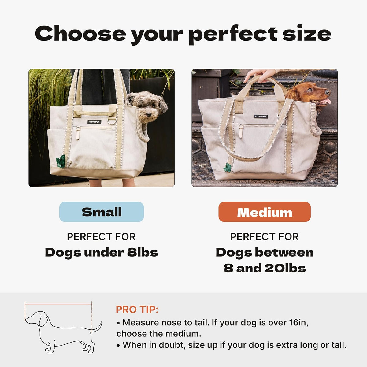 Cleverpup Transit Tote Dog Carrier 4-Piece Set - Small, Leopard