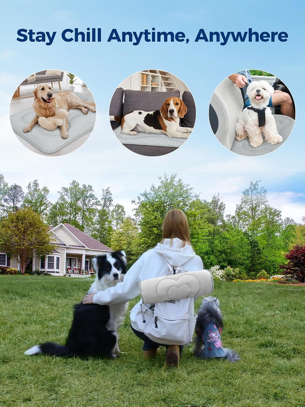 Rywell Thick PCM Dog Cooling Mat 30x20in, Color-Changing&Arc-Chill 3.0 Tech