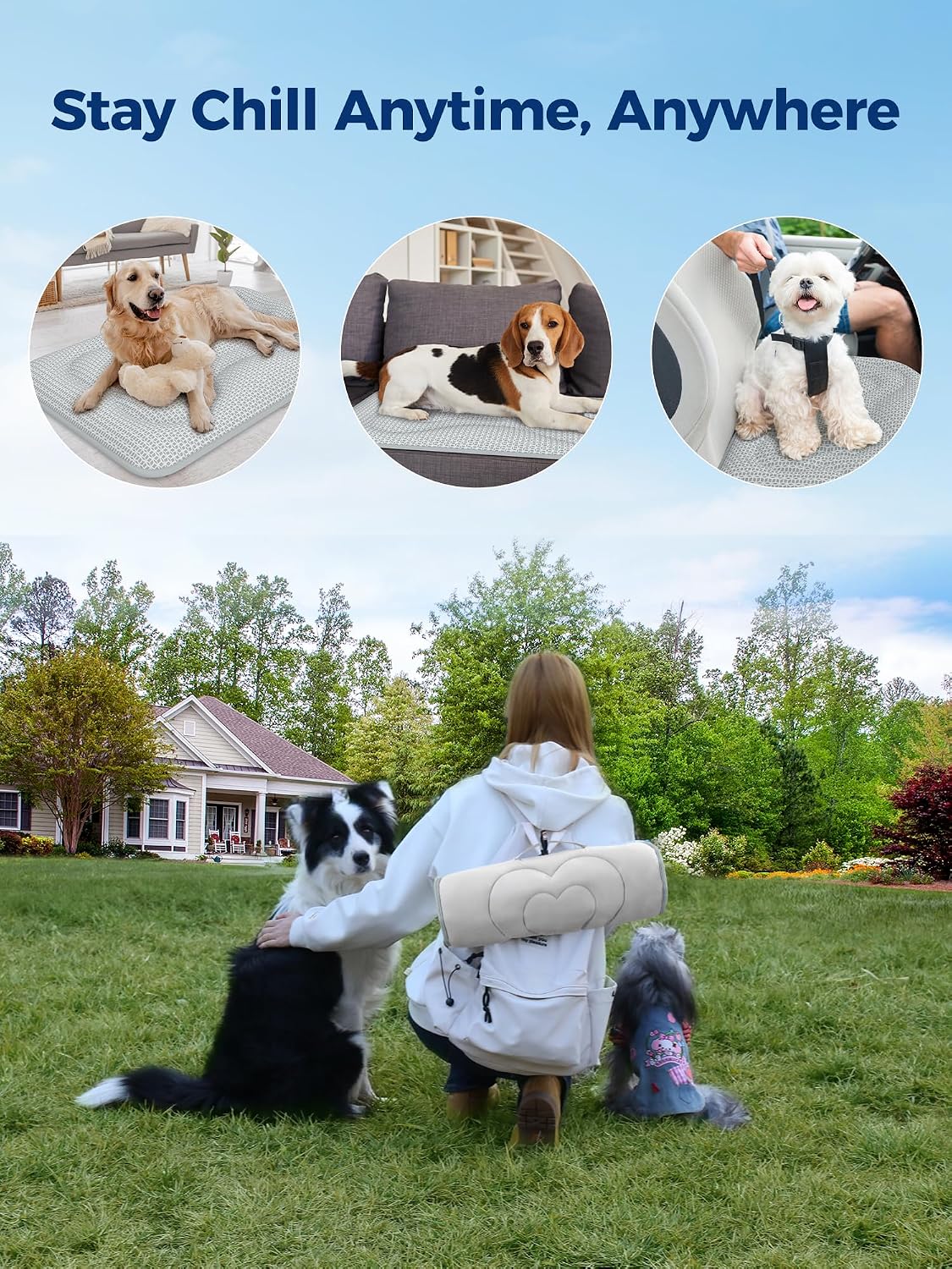 Rywell Thick PCM Dog Cooling Mat 30x20in, Color-Changing&Arc-Chill 3.0 Tech