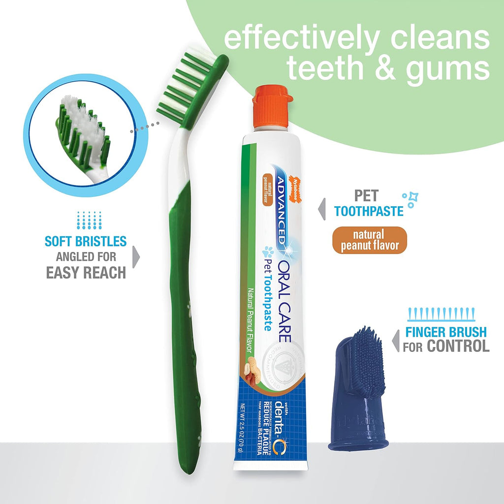 Nylabone Advanced Oral Care Natural Dog Dental Kit Peanut Flavor 2.5 oz. 