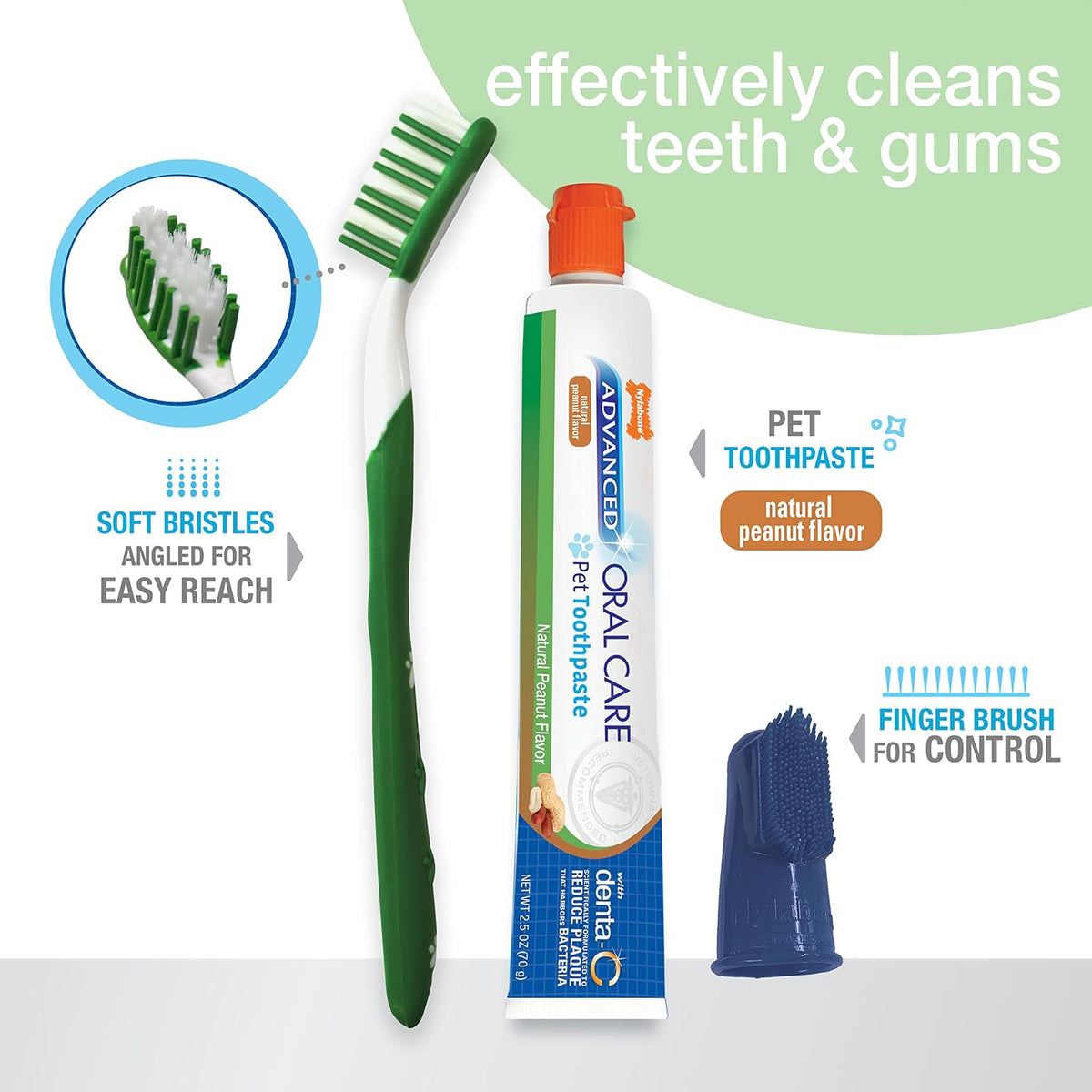 Nylabone Advanced Oral Care Natural Dog Dental Kit Peanut Flavor 2.5 oz. 