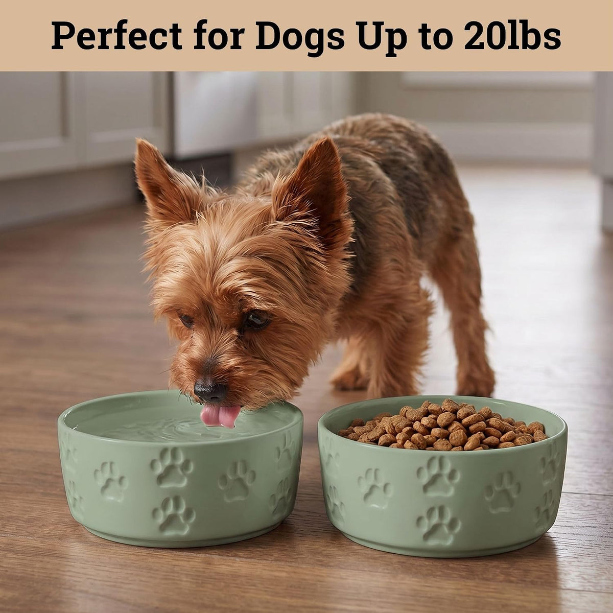 Ceramic Dog Bowl Set of 2 with Anti-Skid Base, 5.5"W x 2"H, 2 Cup Capacity