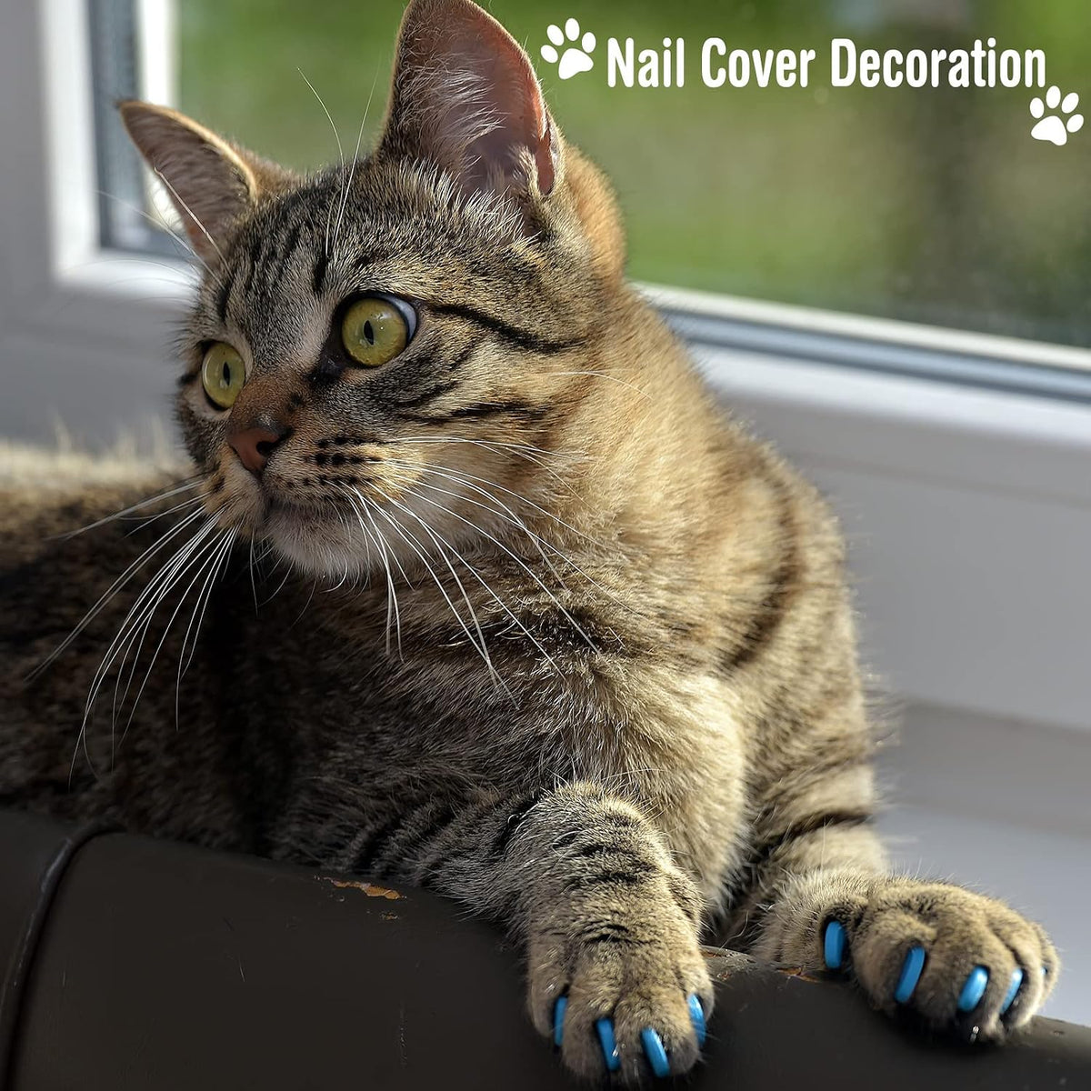 9 Pcs Cat Bathing Bag Set Cat Shower Bag, Blue, Turquoise