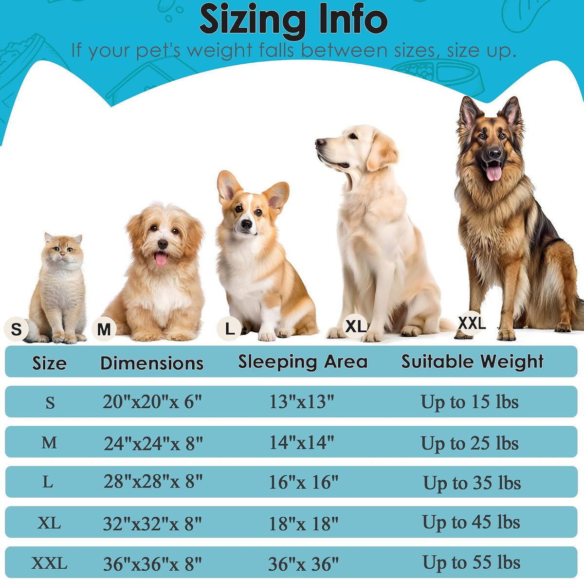 Hoewina Dog & Cat Bed, 20in Cat Beds for Indoor Cats (Light Blue)