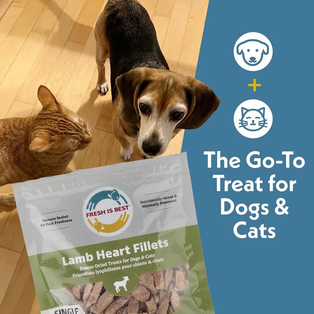 Fresh Is Best Lamb Heart Bites Freeze Dried Dog Treats – Raw Freeze Dried Treats for Dogs & Cats in Resealable Zipper Bag – High-Protein Single Ingredient – Made in the USA