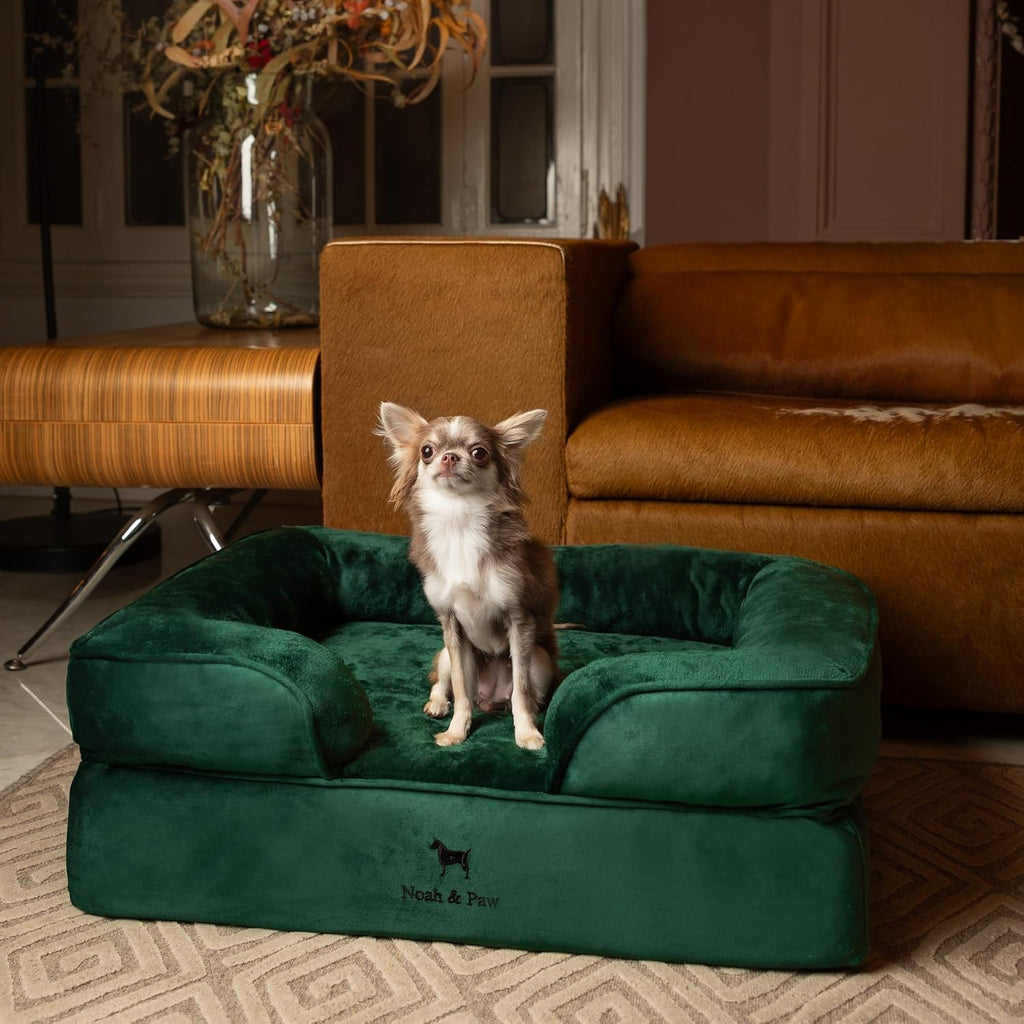 NOAH & PAW Dog Bed, Orthopedic Memory Cooling Foam (2X Base) 28x23x11in