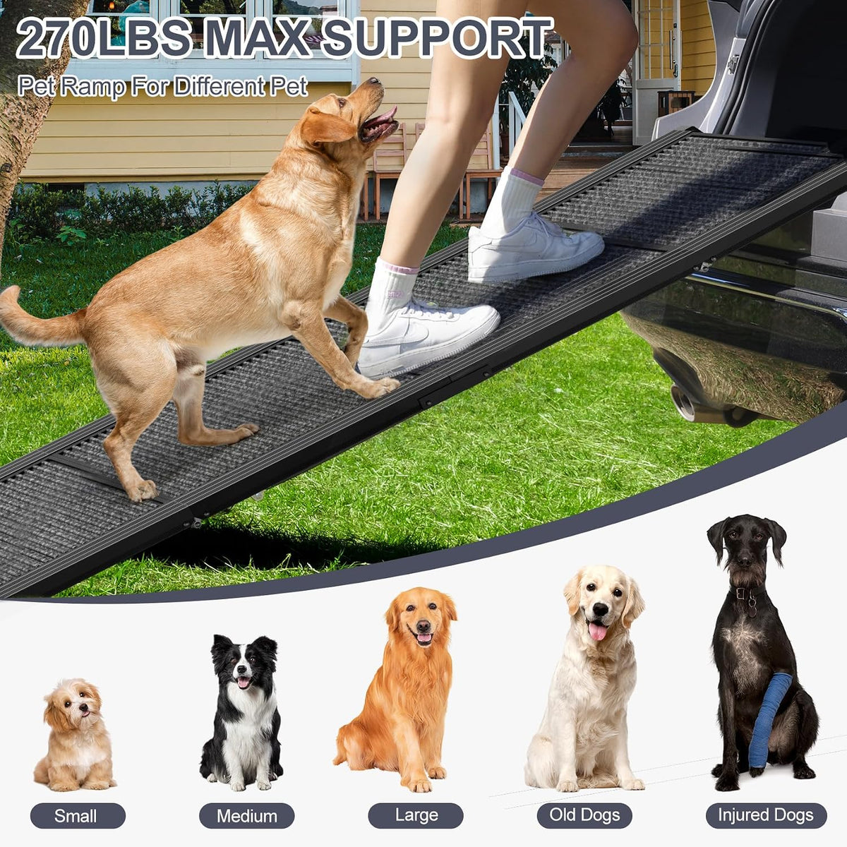 Dog Ramp for Car 71" L × 17.2" W, Extra-Long Foldable Ramp