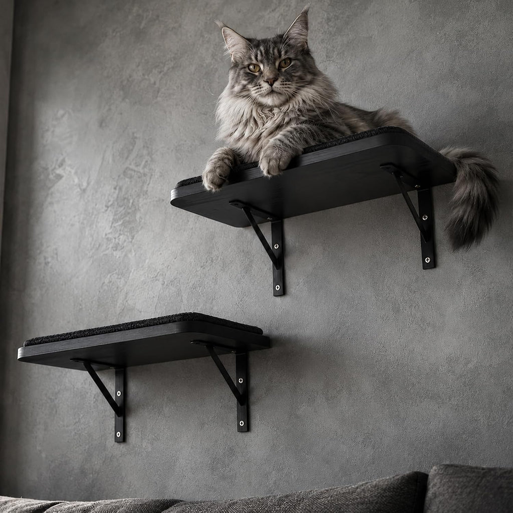 Cat Wall Shelves Set of 2, Black Solid Wood Window Perches with Sisal Mats