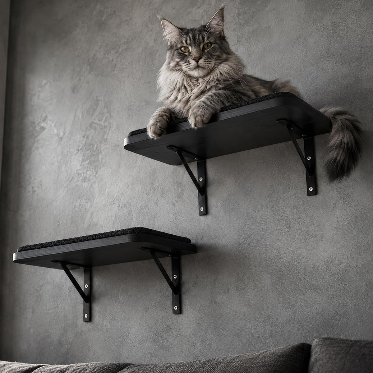Cat Wall Shelves Set of 2, Black Solid Wood Window Perches with Sisal Mats