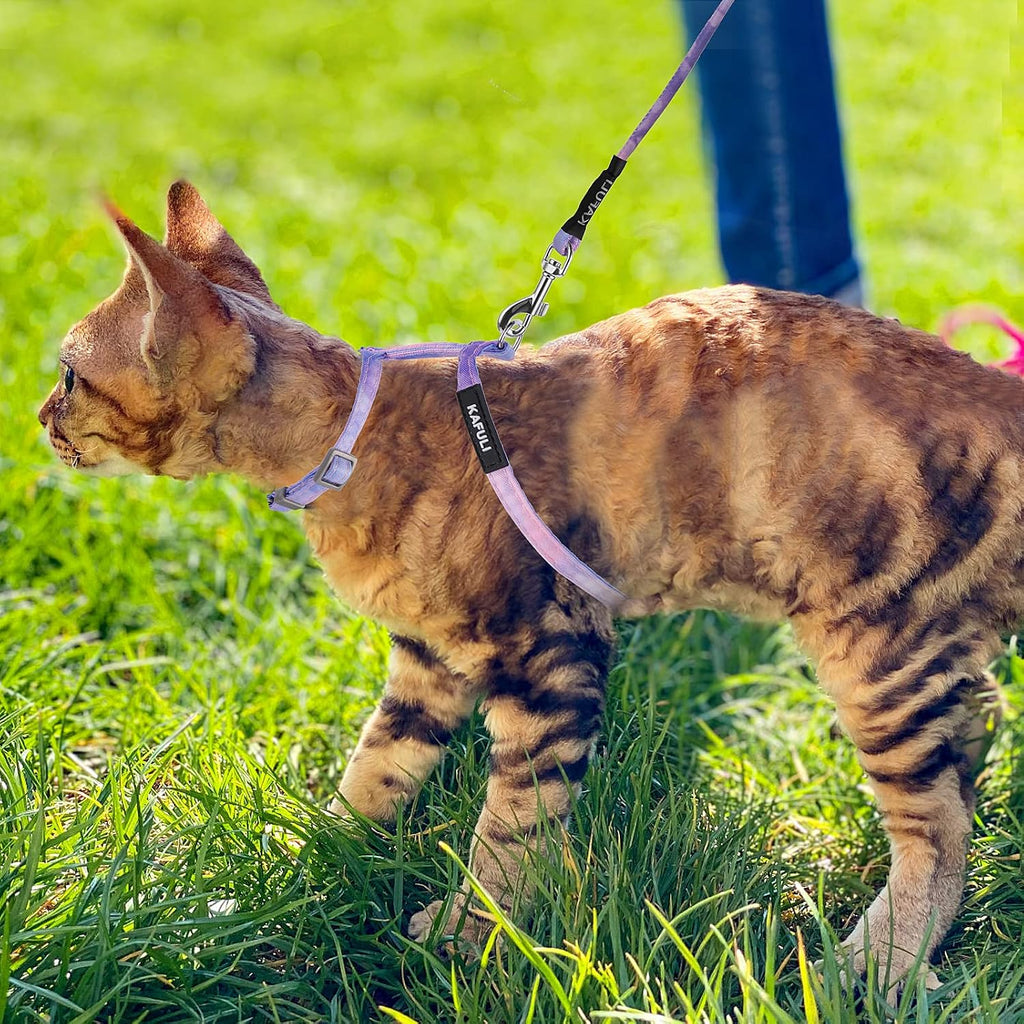 TIESOME Cat Harness and Leash Set, Adjustable Gradient Kitten Harness Escape Proof Harness with Leash for Kitty Outdoor Walking (Gradient Purple)