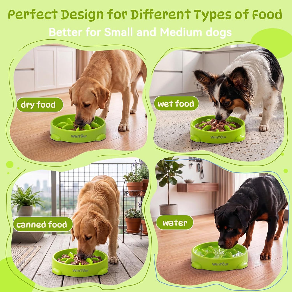 WinTour Slow Feeder Dog Bowls for Small Medium Pets, Round PP Dish, 1 Pack