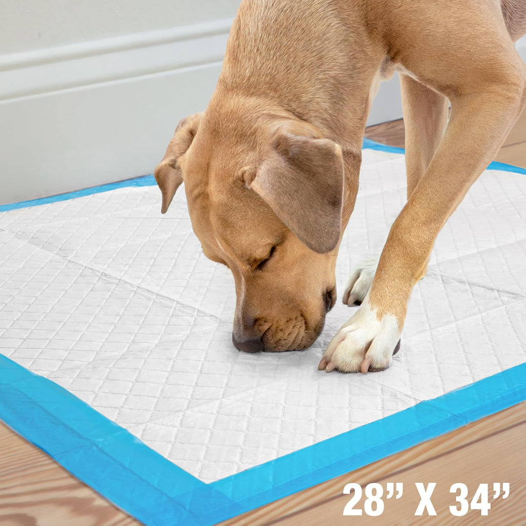 Four Paws Wee-Wee Superior Performance X-Large Dog Pee Pads, 14 Count | Puppy & dog potty training pads, housebreaking supplies, xl puppy pads, pet supplies, 24-hour floor protection, 28" x 34"
