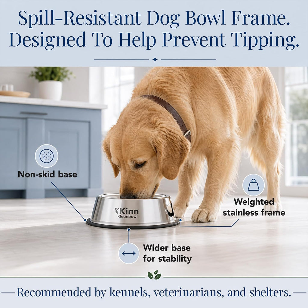 Kinn Kleanbowl Pet Bowl Stainless Steel Frame, 8 oz (Pack of 2) | Compostable Refills, Spill-Proof Stable, Disposable, No Plastic 