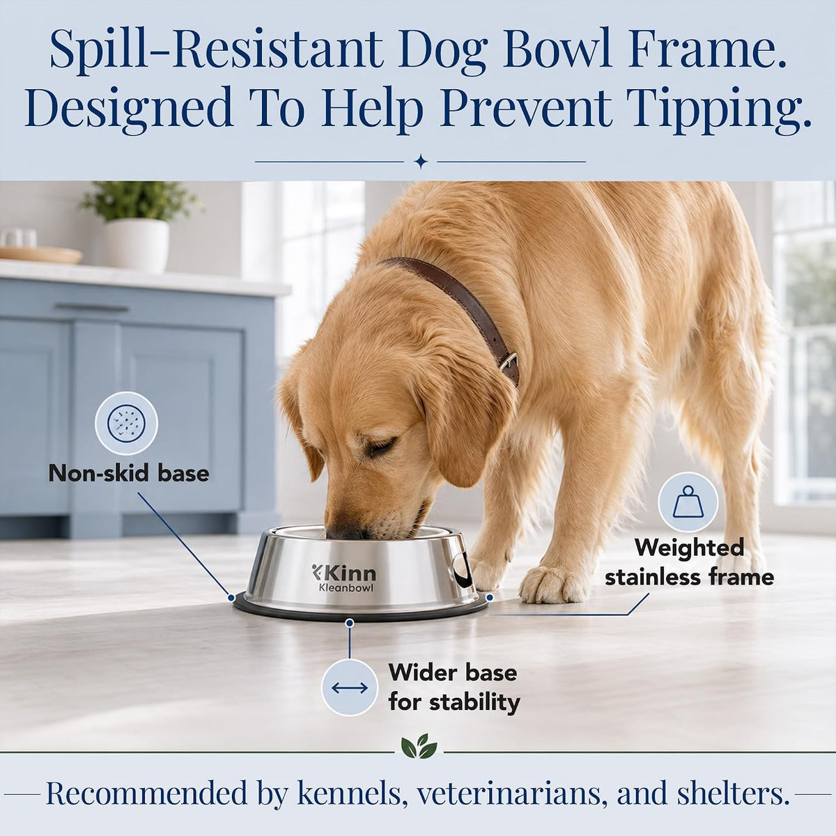 Kinn Kleanbowl Pet Bowl Stainless Steel Frame, 8 oz (Pack of 2) | Compostable Refills, Spill-Proof Stable, Disposable, No Plastic 