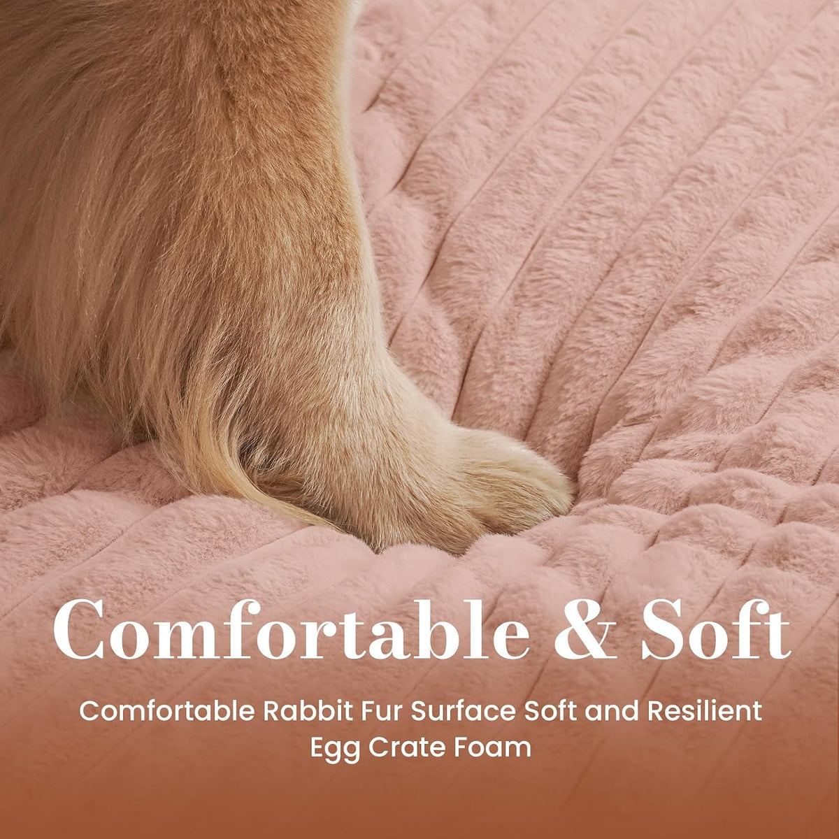 Dog Beds for Large Sized Dog, Orthopedic Foam with Waterproof Lining