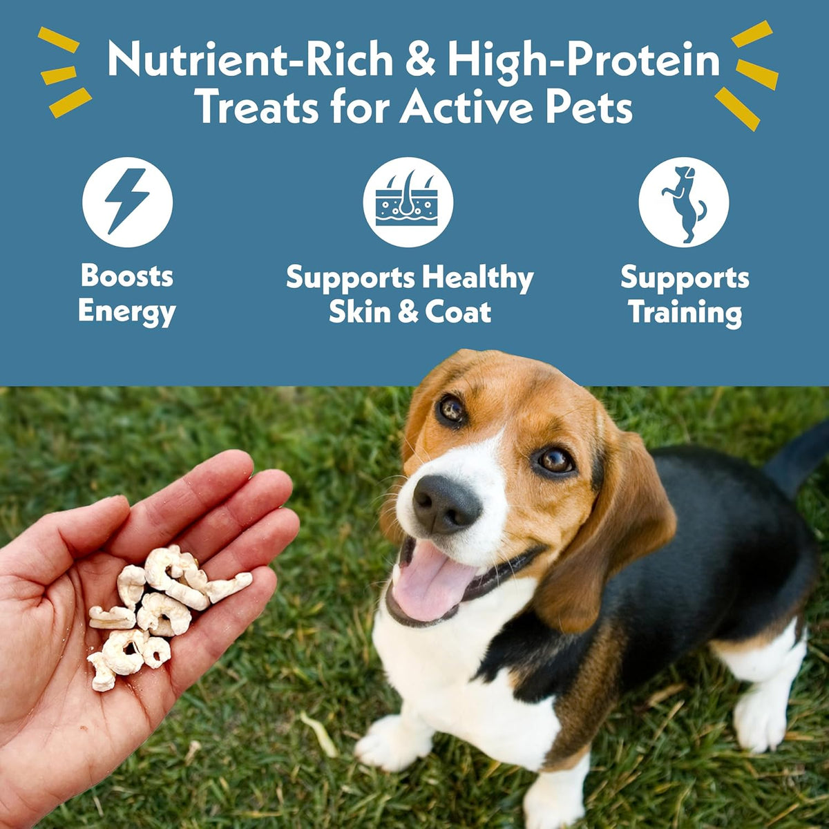 Fresh Is Best Wild Pacific Shrimp Freeze Dried Cat Treats for Cats & Dogs
