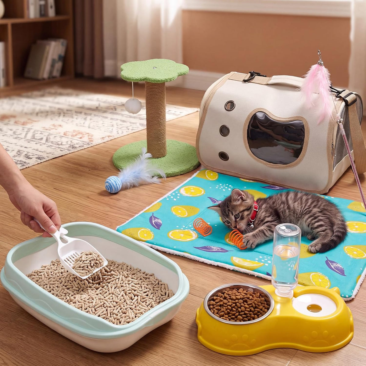 Eccliy 10 Pcs Kitten Starter Kit for Indoor, Cute, Small, Multicolor
