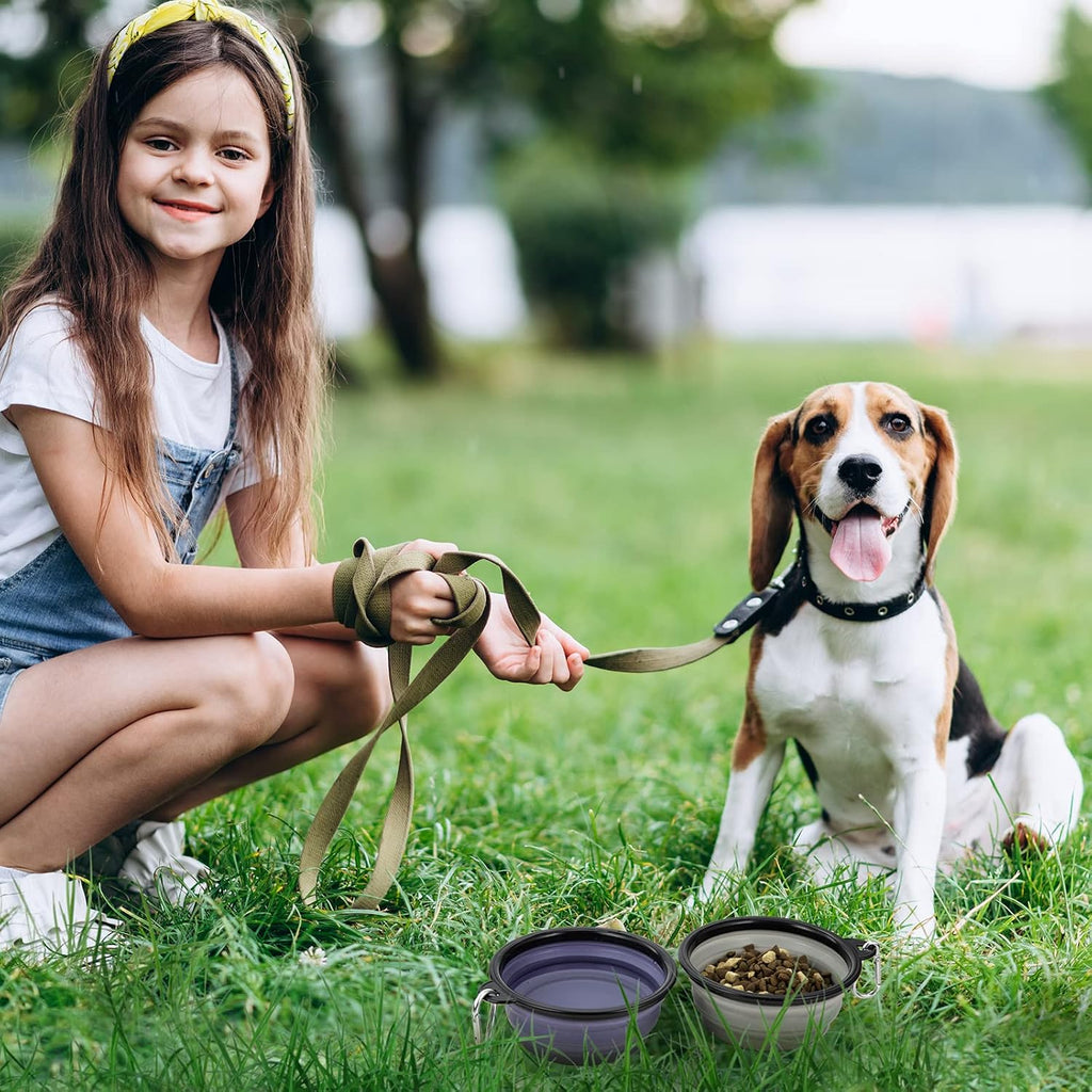 Dog Bowl Pet Collapsible Bowls, 2 Pack Collapsible Dog Water Bowls for Cats Dogs, Portable Pet Feeding Watering Dish for Walking Parking Traveling with 2 Carabiners (Small, Purple & Concrete Gray)