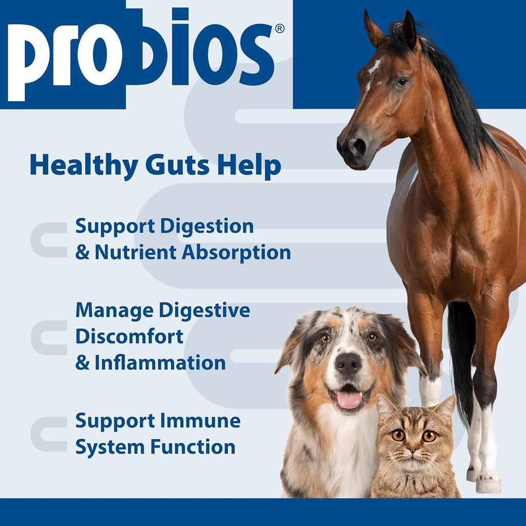 Probios Digestive Support Powder for Pets, 240 g, 2-Pack