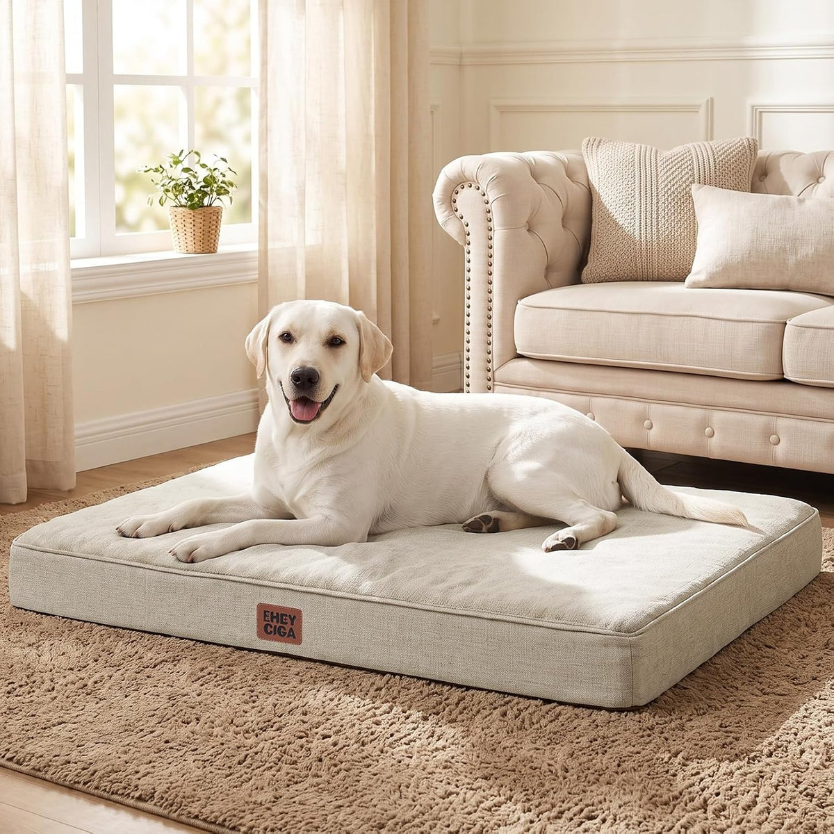 EHEYCIGA Extra Large Memory Foam Flat Dog Bed Washable, 44x32Inch, Beige