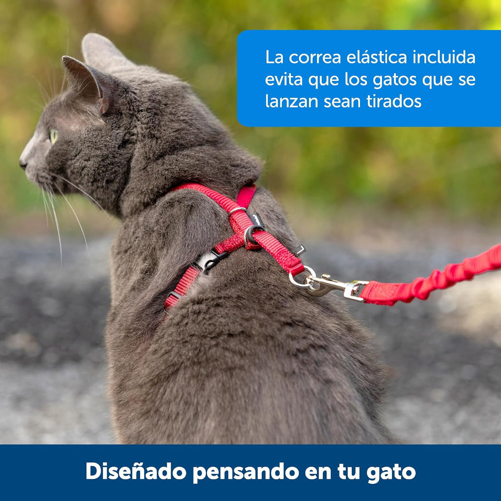 PetSafe Come With Me Kitty Harness and Bungee Leash, Harness for Cats, Medium, Black/Silver, CWMK-M-BLK