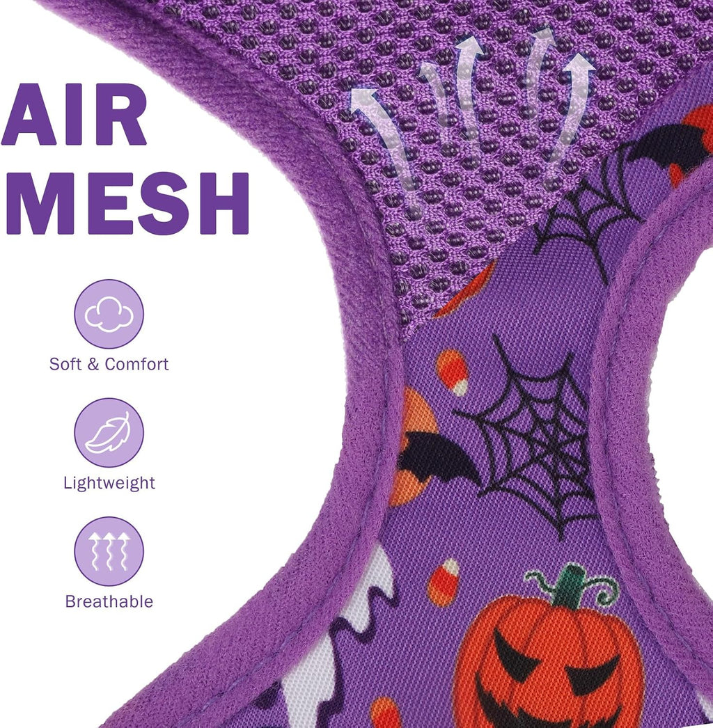 SCENEREAL Halloween Small Dog Harness and Leash Set