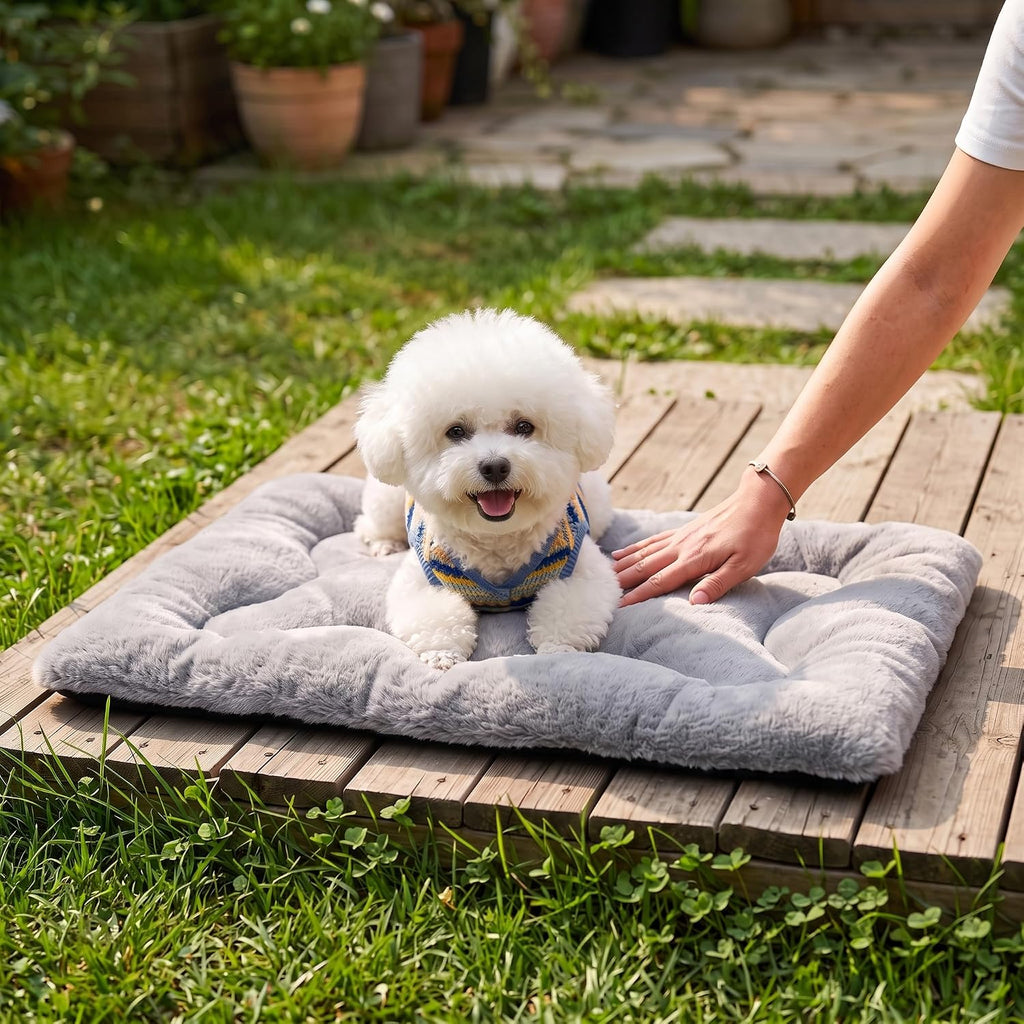 Dog Bed 24" for Metal Crate Pad, Washable Kennel Mat for Small Puppy & Cats