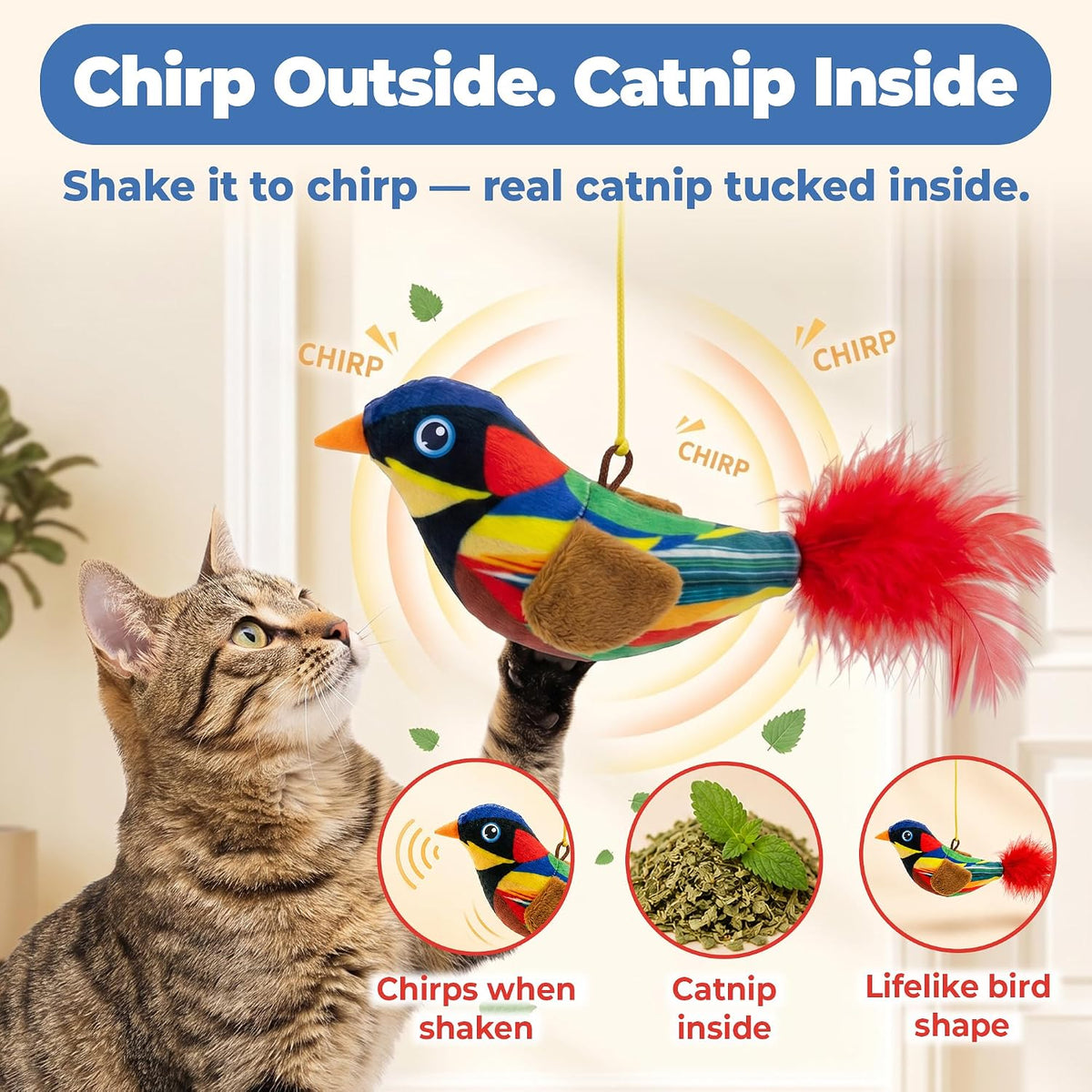 HA SHI 12 Pcs Chirping Bird Cat Toy, Hanging Cat Toy with Catnip