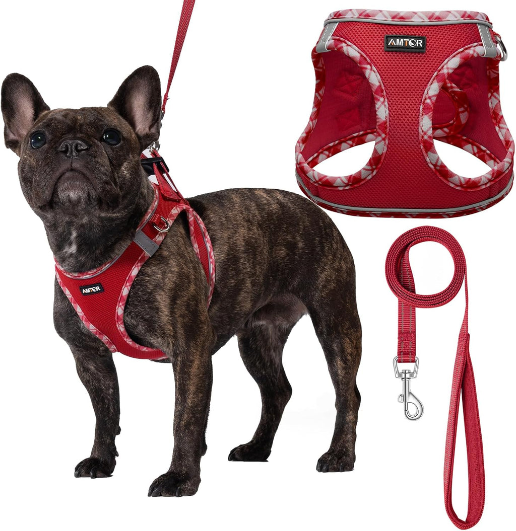 AMTOR Small Dog Harness with Leash Set, No Escape Easy Walk Puppy Harnesses for Training Walking, Step-in Reflective Soft Dogs Vest for XS S Medium Extra-Small Large Sized Dog(Red/White,XS)