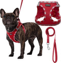 AMTOR Small Dog Harness with Leash Set, No Escape Easy Walk Puppy Harnesses for Training Walking, Step-in Reflective Soft Dogs Vest for XS S Medium Extra-Small Large Sized Dog(Red/White,XS)