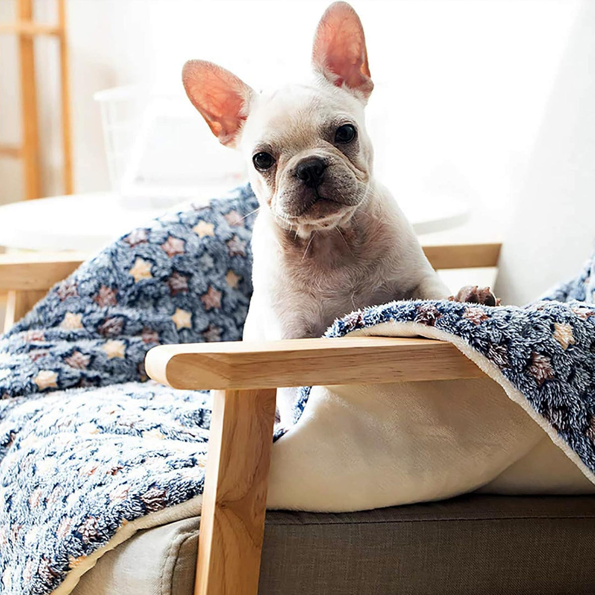 FJWYSANGU Pet Blanket Premium Fluffy Flannel Cushion Soft and Warm Mat for Dogs Cats(Star/Blue,Small)