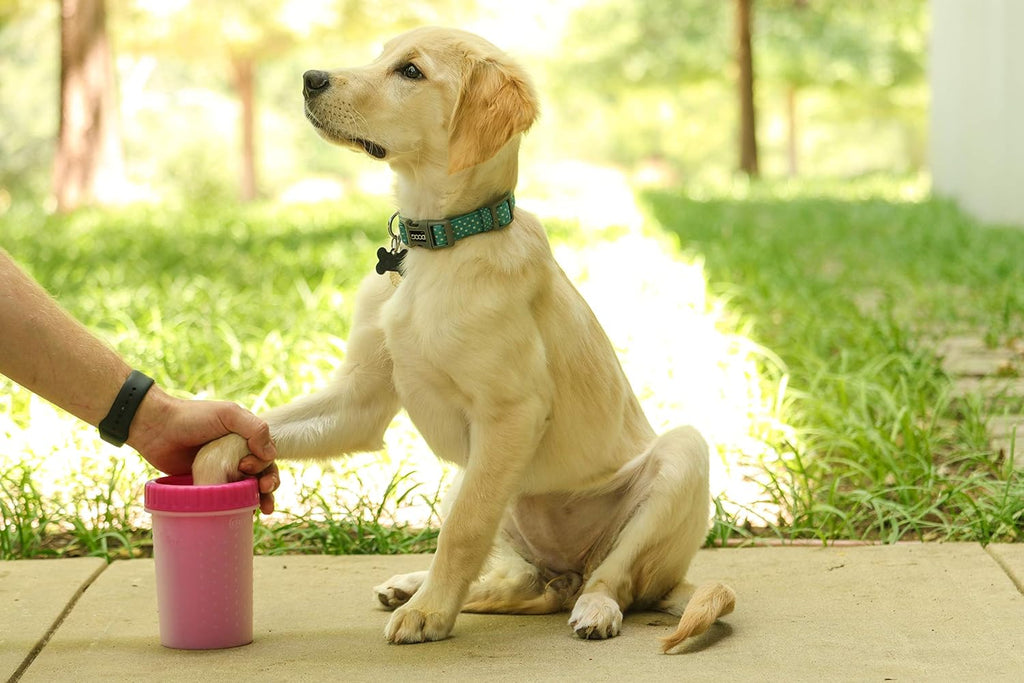 Dexas MudBuster Medium Dog Paw Cleaner, Pink, Fits 1.5"-2.5" Wide Paws, Gentle Silicone Bristles for Quick, Easy Cleaning 
