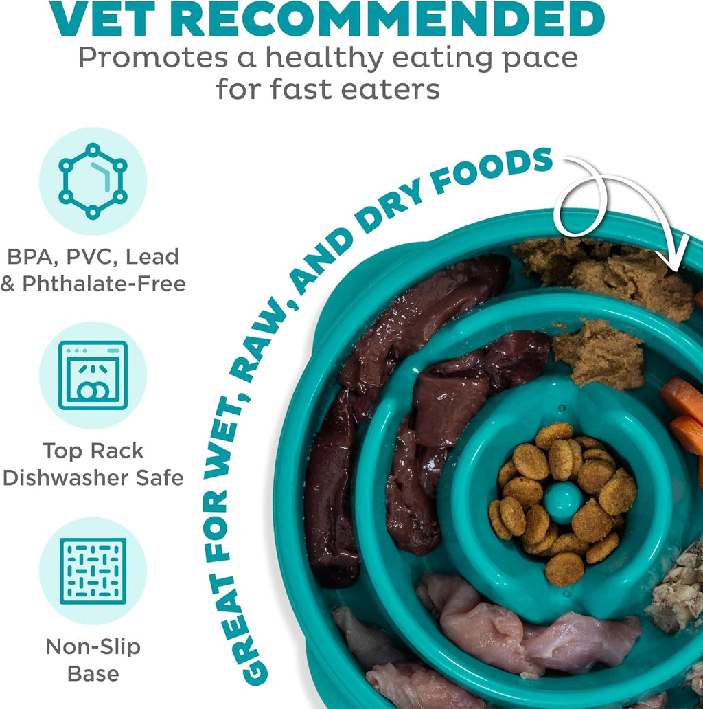 Outward Hound Fun Feeder Slo Bowl – Medium 2‑Cup Capacity, Slow Feeding, Small to Medium Dogs & Cats, Non-Slip, Turquoise, Drop Pattern | Slows Fast Eaters, Can Aid Digestion, Holds 2 Cups Dry or Wet Food, Non-Slip, Easy Clean, No BPA, Small to Medium ...
