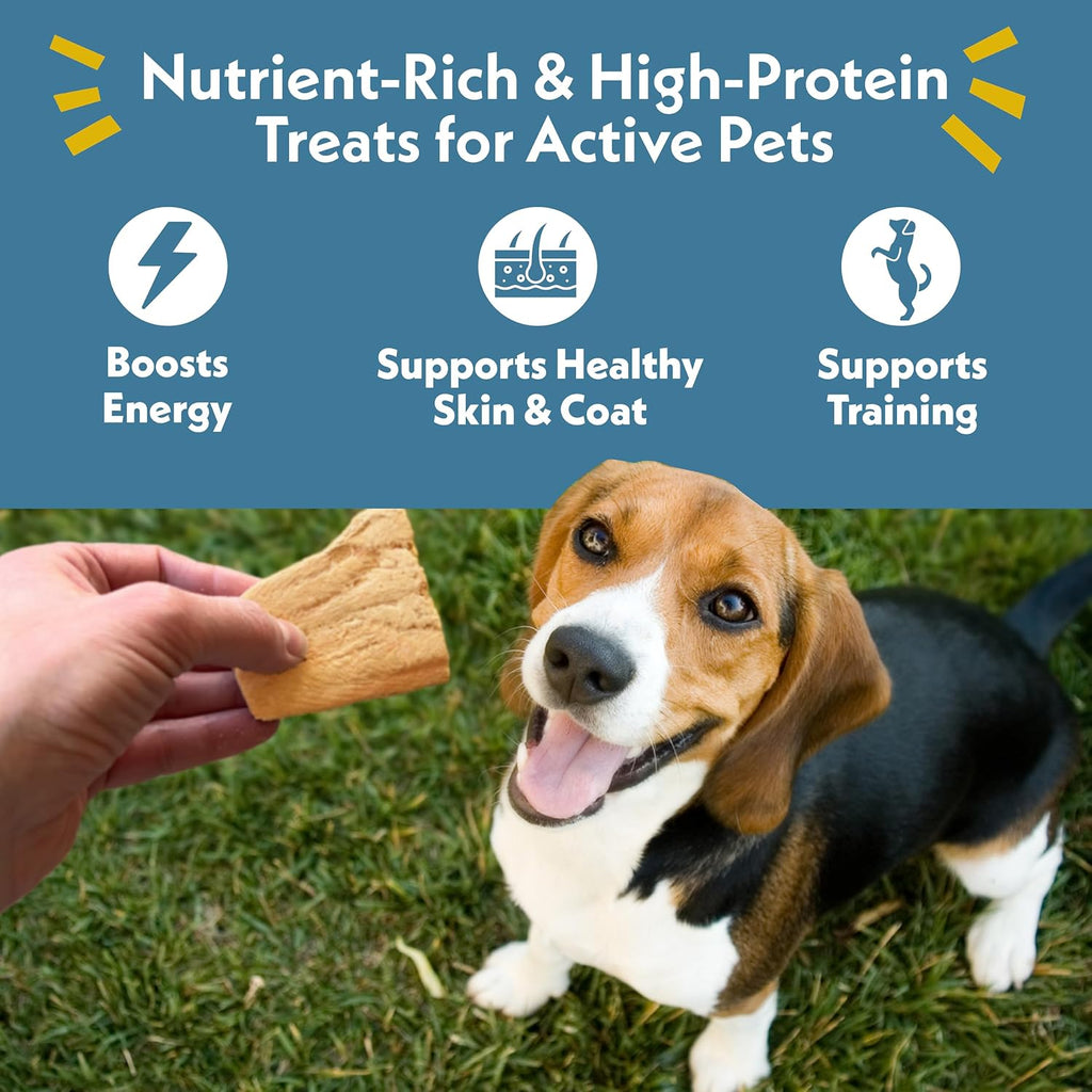 Fresh Is Best Salmon Fillets Freeze Dried Dog Treats for Cats & Dogs
